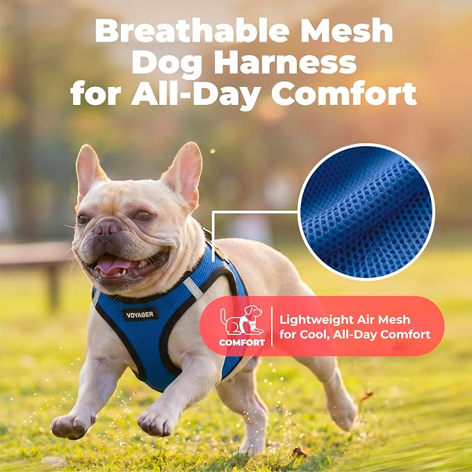 Voyager Step-in Air Dog Vest Harness - Royal Blue/Black Trim, Small | 14.5-16" in Chest, Reflective Bands, All Weather Breathable Air Mesh, Cats Compatible, Lightweight, Fast Drying
