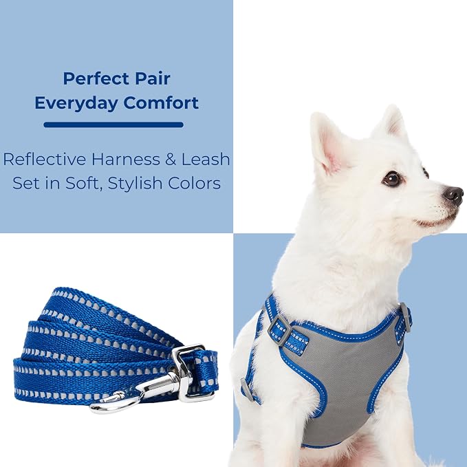 Blueberry Pet Matching Reflective Harness and Leash Set | Adjustable Pastel Vest with Lead for Dogs – Great Value Gift Set | Adjustable Navy Vest for Medium Breeds