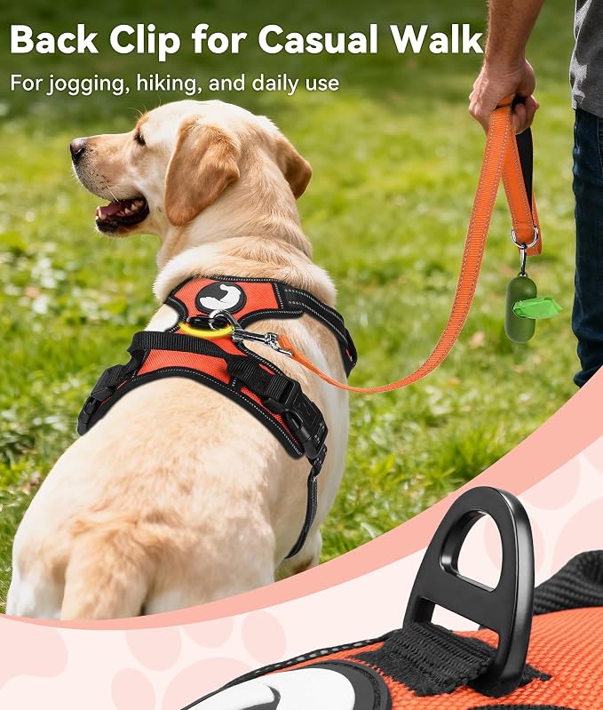 Joytale No Pull Dog Harness for Small Dogs, Front Clip, Orange | Grab Handle for Instant Control, Padded & Adjustable Vest, Sturdy Metal D-Rings, for Safe Training & Daily Walking