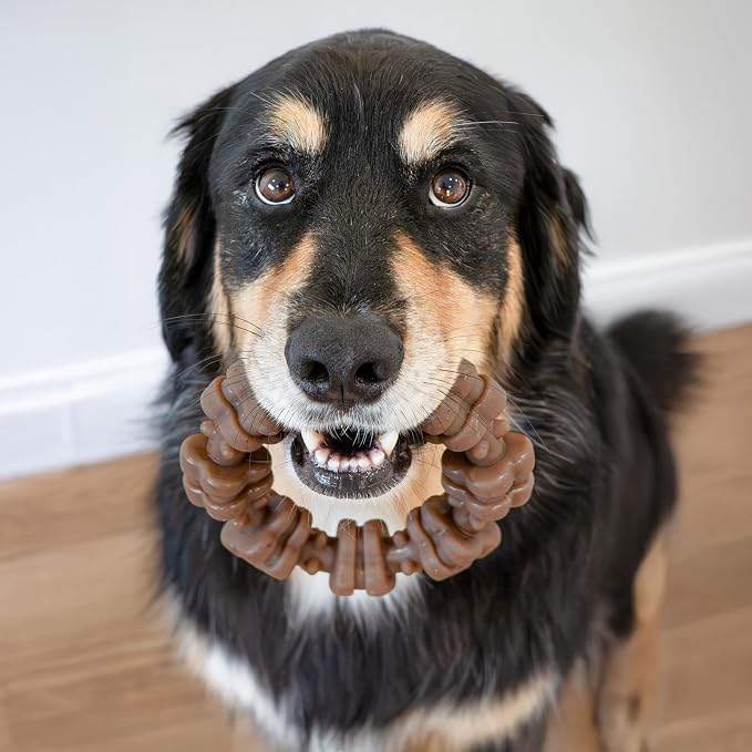 Nylabone Strong Chew Ring Dog Chew Toy Made with Real Beef & Chicken | X-large breeds, durable, long-lasting dog bone, textures help clean teeth, keeps dogs busy, for dogs 50+ lbs