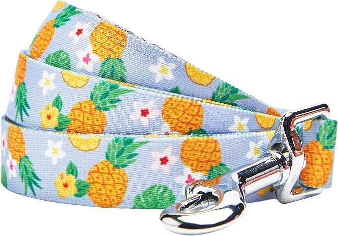 Blueberry Pet Nutritious Pineapple Dog Leash, 5 ft x 3/4", Medium, Leashes for Dogs
