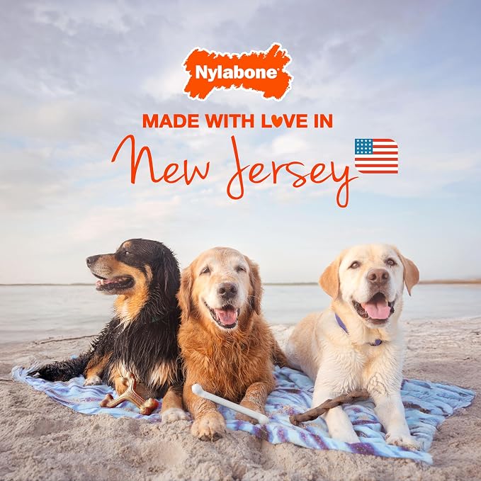 Nylabone Power Chew Braided Bully Stick Alternative Dog Chew Toy, Large | Bold bully stick flavor, no odor, durable dog toys for aggressive chewers, long lasting, for large dogs up to 50 lbs
