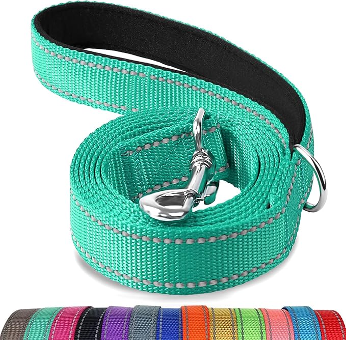 Joytale Reflective Dog Leash for Medium & Large Dogs, 4 FT x 1", Turquoise | Heavy Duty Nylon Webbing, Padded Handle for Comfort, Visible at Night, for Walking & Training