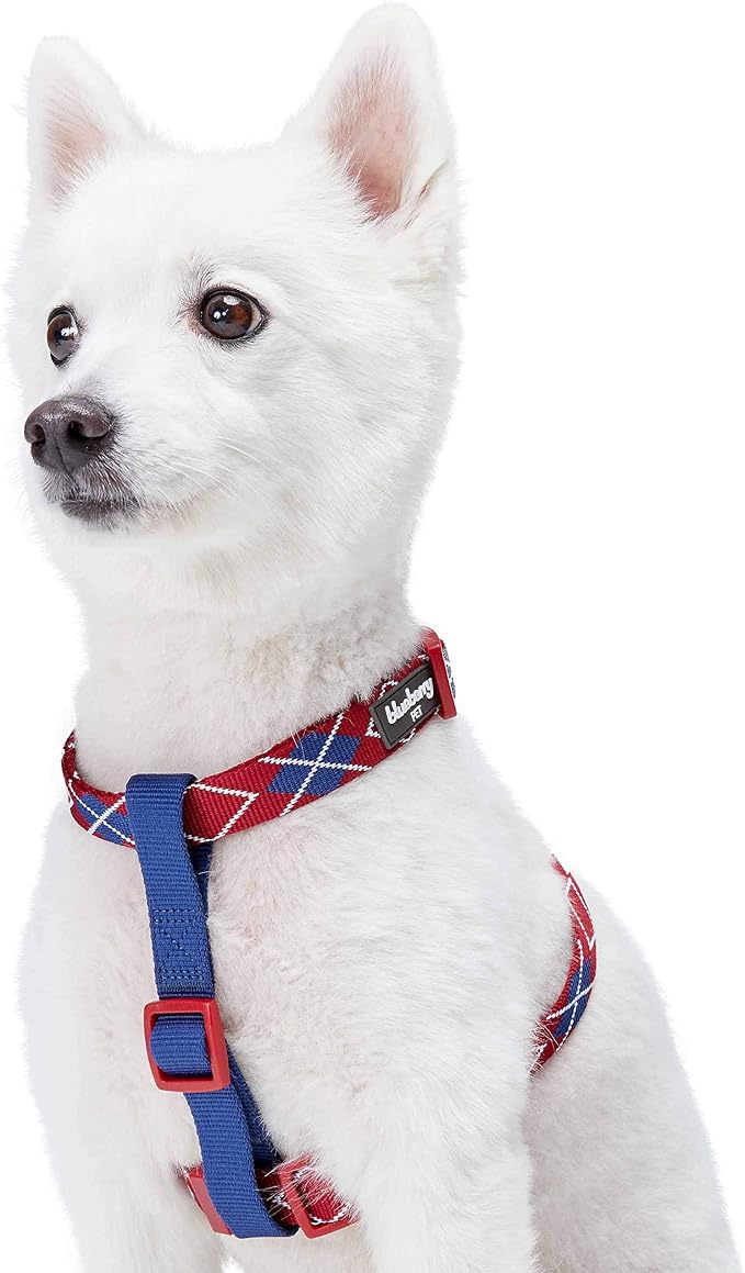 Blueberry Pet Scottish Argyle Dog Harness, Merlot Red, Small, Adjustable Harnesses for Dogs