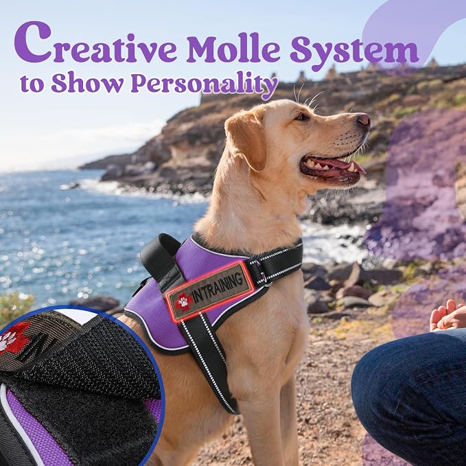 rabbitgoo No Pull No Choke Pet Vest, Adjustable Pet Harness with Molle | Medium Sized Dog Harness, Reflective, Easy Wearing with One Buckle for Walking, Training, Purple, M