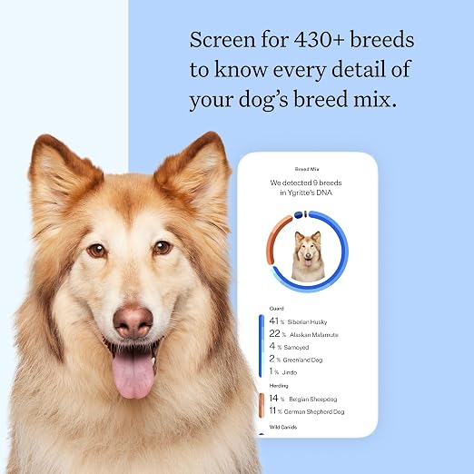 Wisdom Panel Breed Discovery DNA Test Kit