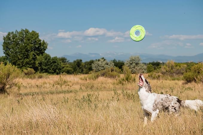Chuckit! Amphibious ZipFlight Floating & Flying Disc Dog Toy, Medium, 8.5in, Assorted Colors