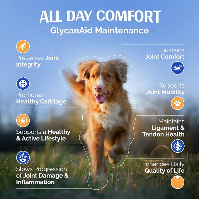 TopDog Health GlycanAid Maintenance Joint Nutrition for Dogs (60 Chewable Tablets), Made in USA-USA Ingredients: Glucosamine HCL, Chondroitin Sulfate, MSM, Vitamin C