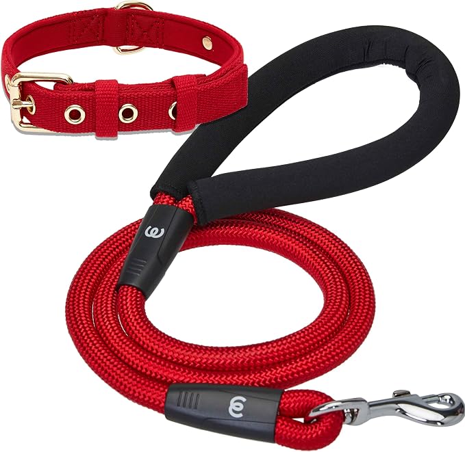 Blueberry Pet Classic Red Dog Leash & Collar Set, Puppy Essentials, Large Size, 4 ft Rope Leash, Neoprene Padded, Gentle Leader for Dogs, Heavy Duty Dog Leashes