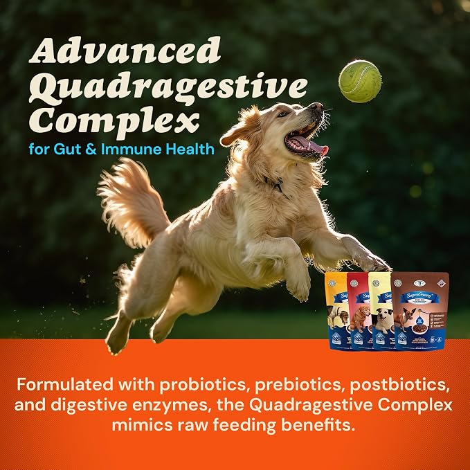 CLEAR CONSCIENCE PET® SuperGravy® Four-Pack Dog Food Topper & Bone Broth Mix | 4 Flavor Variety Bundle | Just Add Water Gravy | Probiotic Support | Grain-Free | 56 Servings