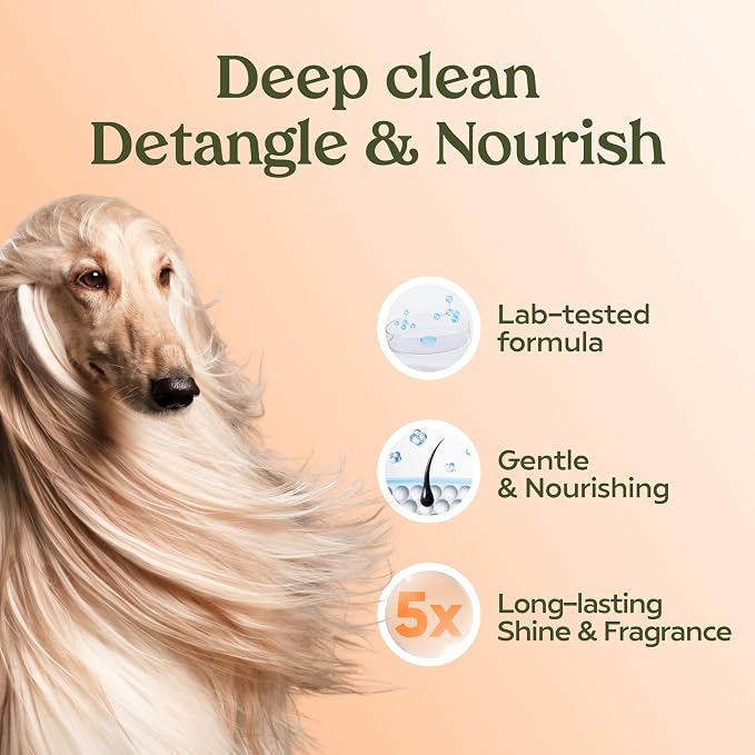 PAWFUME Deshedding Dog Shampoo and Conditioner, Show Dog, 2-Pack | Probiotic pH-balanced formula nourishes, detangles and deep cleans silky coats, salon-quality Shampoo for Dogs