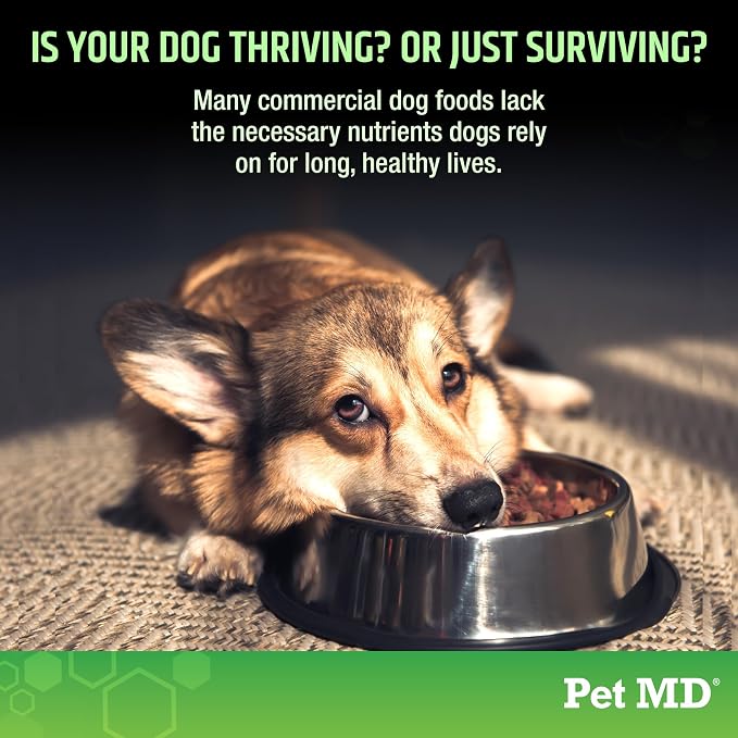 Pet MD 5-in-1 Dog Multivitamin - 30 Key Nutrients for Wellness - 120ct | For Hip & Joint Health, Immune Function, Healthy Skin & Shiny Coat, and Digestive Support - Senior Dog & Puppy Vitamins