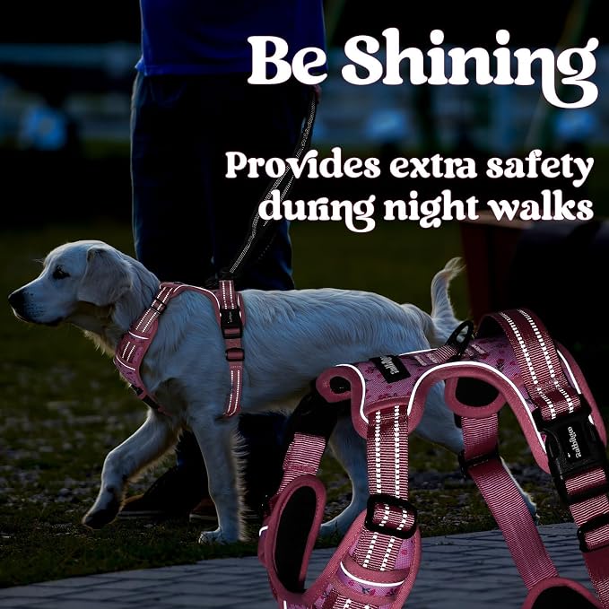 rabbitgoo Dog Harness Small Sized, Updated Easy On & Off with 3 Buckles | No Pull No Choke, Walking with 2 Clips and Handle, Adjustable Soft Reflective, Floral Pink, Small