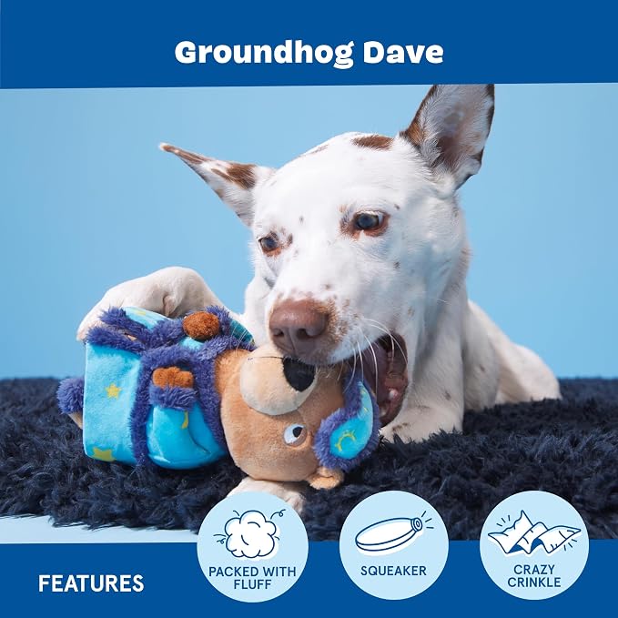 BarkBox Groundhog Dave Dog Toy - Toy for Small to Medium Dogs | Plush Groundhog with Deep Squeaker, Crinkle & Fluffy Filling | Squeak & Chew