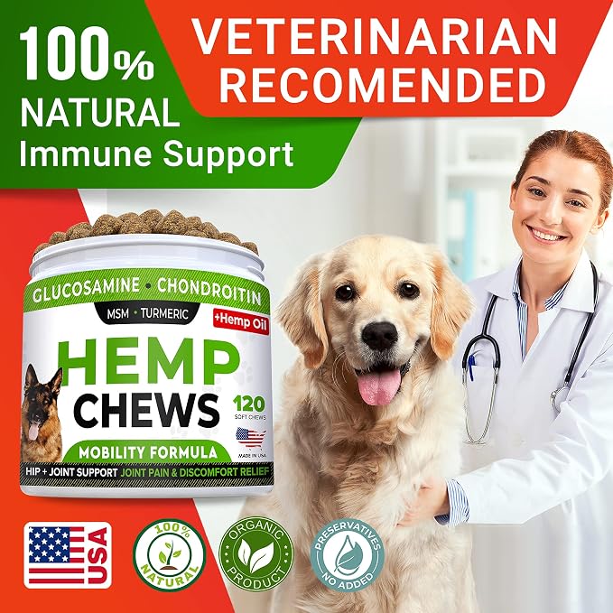 Glucosamine for Dogs w/Chondroitin - Hip & Joint Supplement for Dogs w/Omega-3 Fish Oil - Chondroitin MSM - Advanced Mobility Chews - Joint Pain Relief - Hip & Joint Care - Made in USA (120 Ct)
