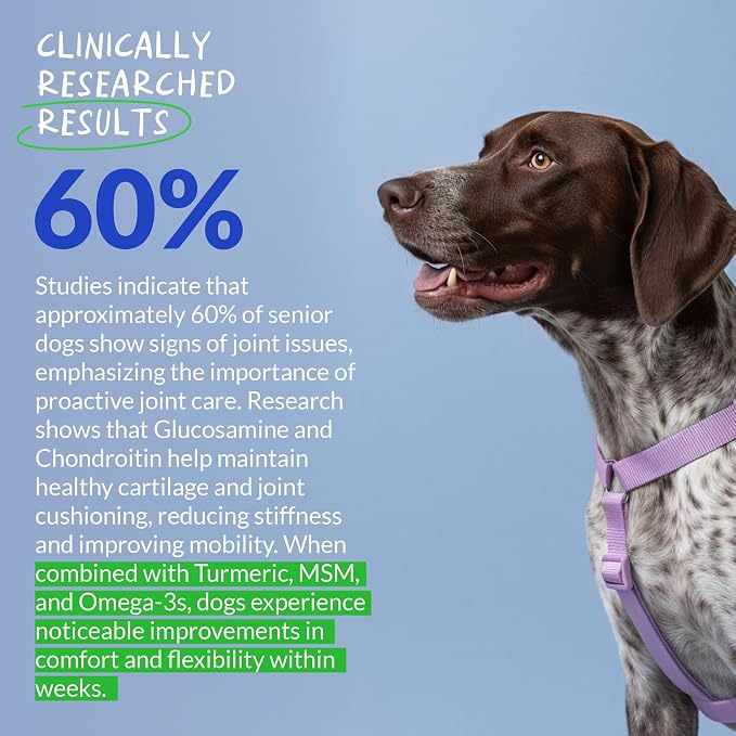 Hip & Joint for Dogs - Collagen, Glucosamine & Green Lipped Mussel