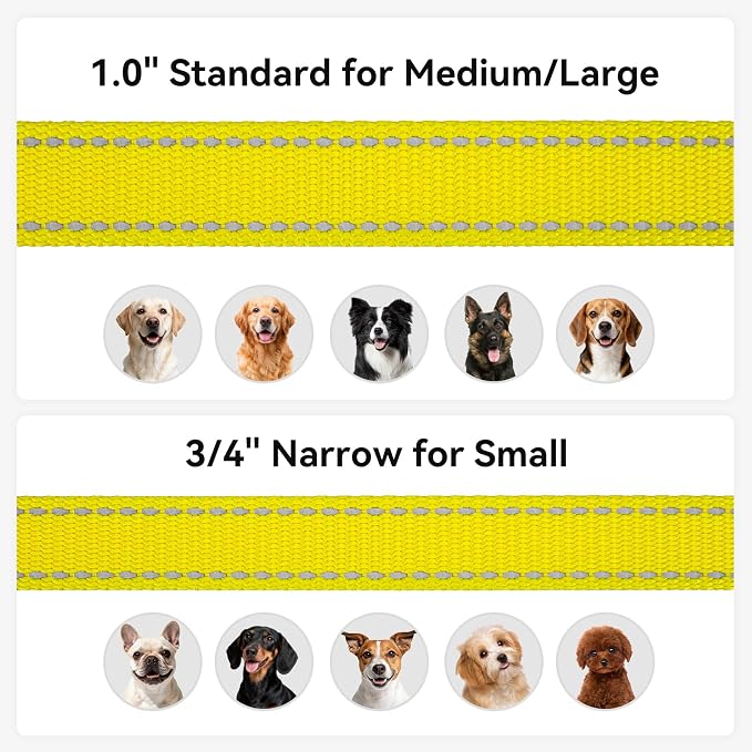 Joytale Reflective Dog Leash for Small Dogs, 5 FT x 3/4", Yellow | Heavy Duty Nylon Webbing, Padded Handle for Comfort, Visible at Night, for Walking & Training