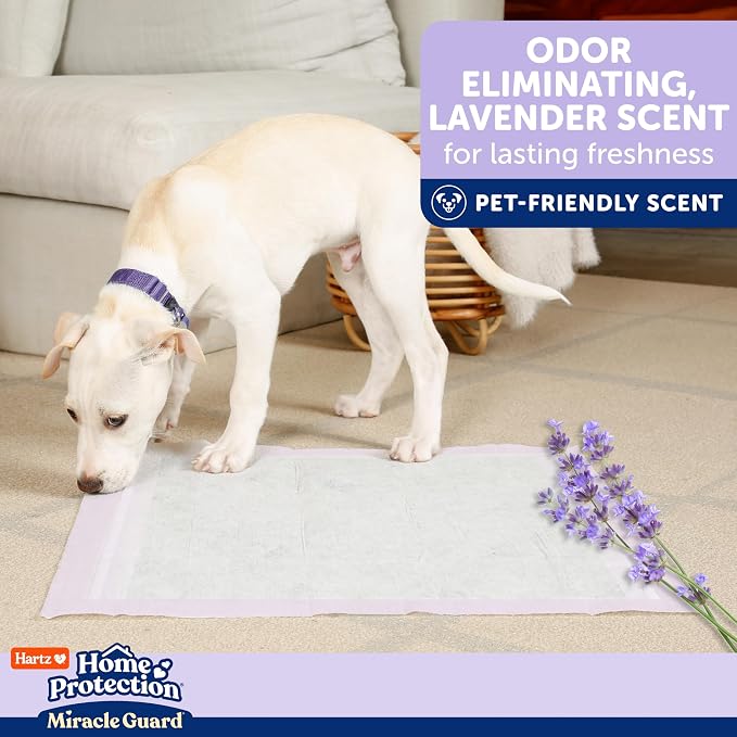 Hartz Miracle Guard Dog and Puppy Dog Pads Max Absorbency 24 Hour Use Odor Eliminating Lavender Scented No Leaks, Regular Size 25 Count