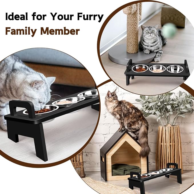 Bamboo Elevated Cat Bowls, 3 Stainless Steel Raised Cat Bowl with Stand, 15°Tilted Cat Feeding Station, Cat Food and Water Bowl Set for Small Cats, Anti Vomitting, Whisker Fatigue (Black)