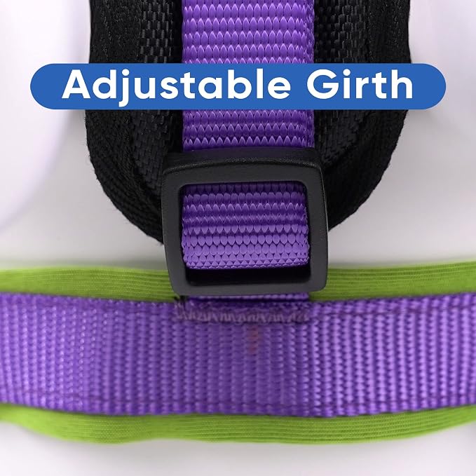 Pawtitas Reflective Padded Dog Harness for Large Dogs – Adjustable Step-in Vest | Fits Chest 27–33 in | No Pull Training Harness | L | Purple