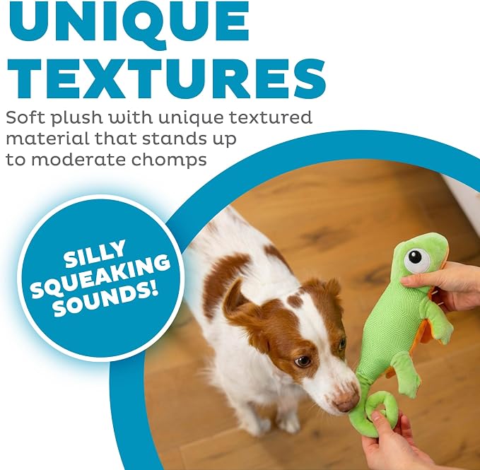 Outward Hound Coated Critterz Dog Toy – Plush & Molded Texture, Squeaky Fetch, Small & Medium Dogs, Lizard, 10.4"