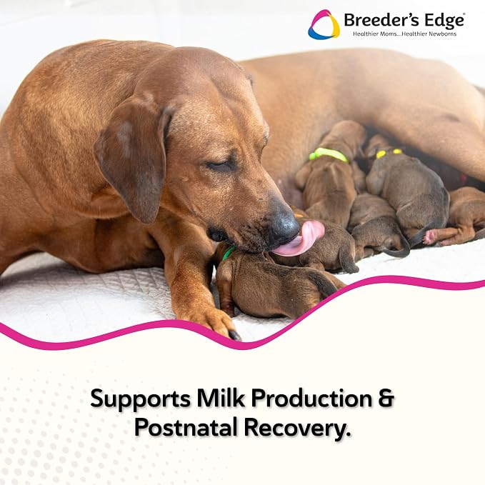 Breeder's Edge Oral Cal Plus Powder for Dogs & Cats, Lactation Support 300g
