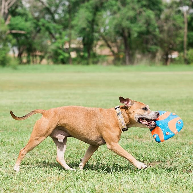 Chuckit! Whistle Flight Fetch Toy, Orange/Blue, for Medium to Large Dogs | Measures 10.6 In x 1.2 In x 11.1 In, for Medium to Large Dogs