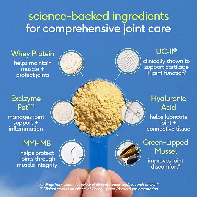 Native Pet Hip and Joint Supplement Dogs - Powder with UC-II Collagen and HMB - Senior and Large Breed Dog Joint Support - Made in USA - 60 Scoops
