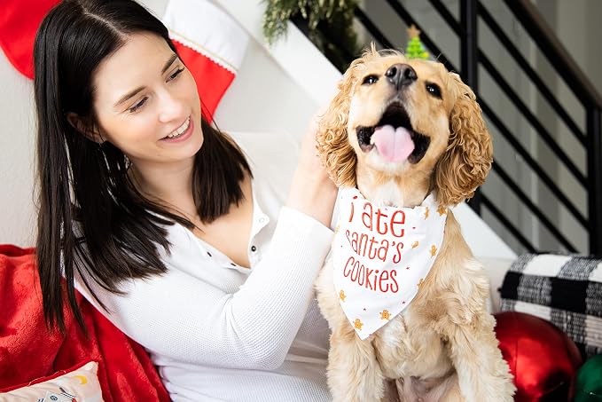 Pearhead Christmas Pet Collar Sip-On Bandana, S/M, Small