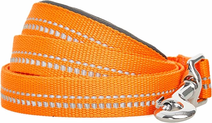 Blueberry Pet 3M Reflective Pastel Color Dog Leash with Soft & Comfortable Handle, 4 ft x 1", Orange Peel, Large, Leashes for Dogs
