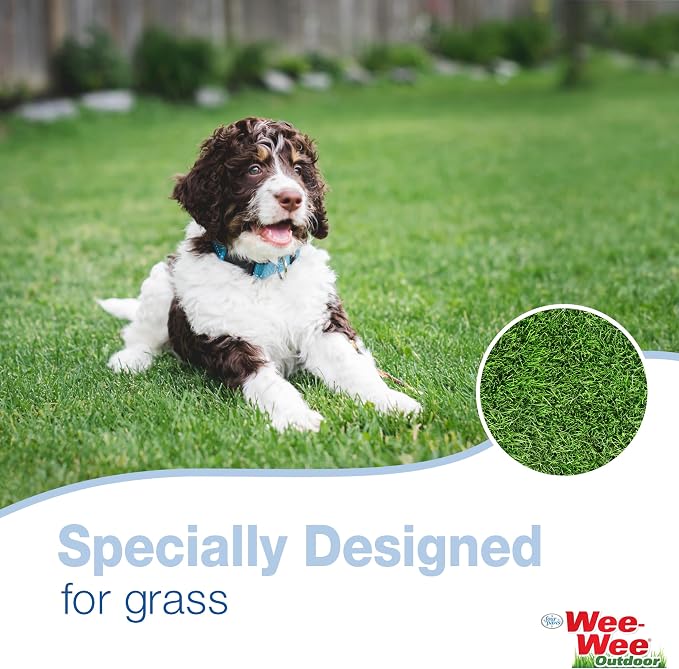 Four Paws Allen's Dog Waste Spring Action Pooper Scooper for Hard Surfaces, X-Large