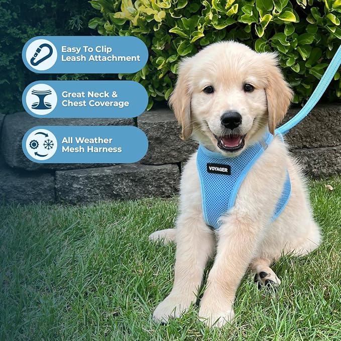 Best Pet Supplies Voyager Step-in Air All Weather Mesh Harness and Reflective Dog 5ft Leash Combo with Neoprene Handle, for Small, Medium and Large Breed Puppies - Baby Blue, Small