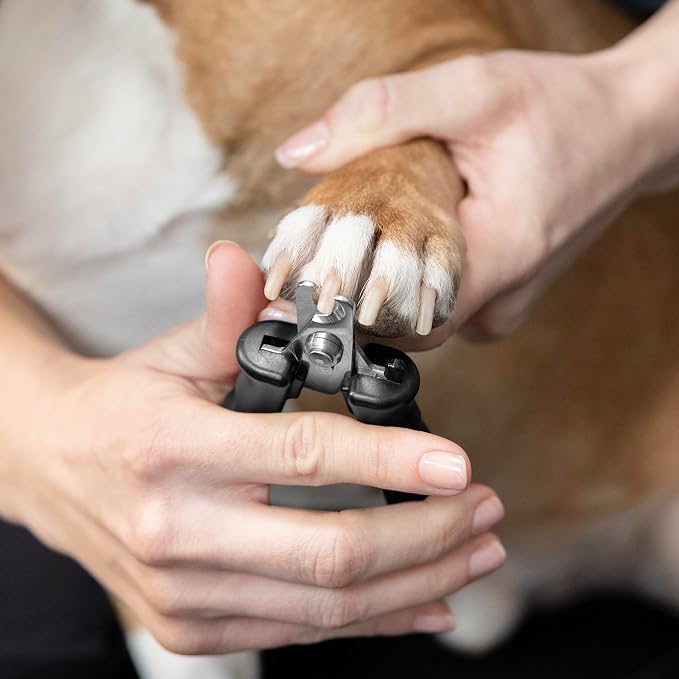 Tweezerman Small Dog & Cat Nail Clippers, Ergonomic