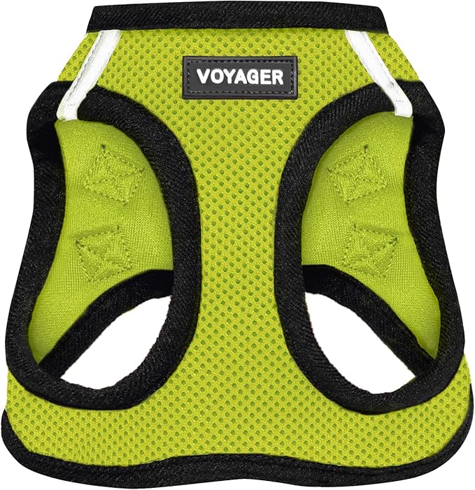 Voyager Step-in Air Dog Harness - All Weather Mesh Step in Vest Harness for Small and Medium Dogs by Best Pet Supplies - Lime Green Base, XXS
