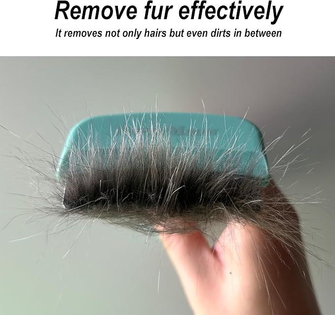 Pet Deshedding Tool with Curve Blade, Small, Small, Green