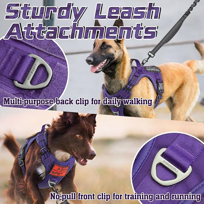 rabbitgoo Tactical Dog Harness for Small, No Pull Military Service Vest | Molle & Handle, Heavy Duty, Adjustable, Reflective Straps, Easy Control for Training Walking, Purple, Small
