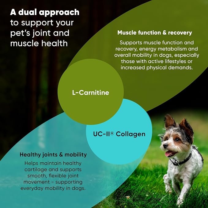 Joint & Muscle Supplement for Cats & Small Dogs - 30 Caps