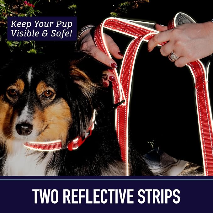 Leash Boss Double Handle Dog Leash - 6 Ft Reflective with Two Padded Handles for Large or Medium Dogs That Pull (Black/Gray)