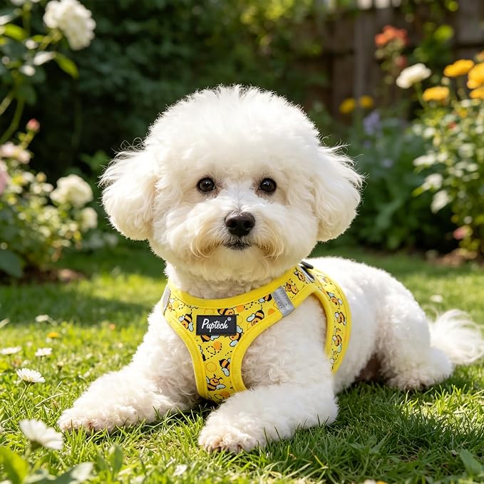 PUPTECK Dog Harness and Leash Set for Small Medium Dogs No Pull Step-in Soft Mesh Puppy Cat Vest Harnesses Reflective at Night, Yellow Bee, S