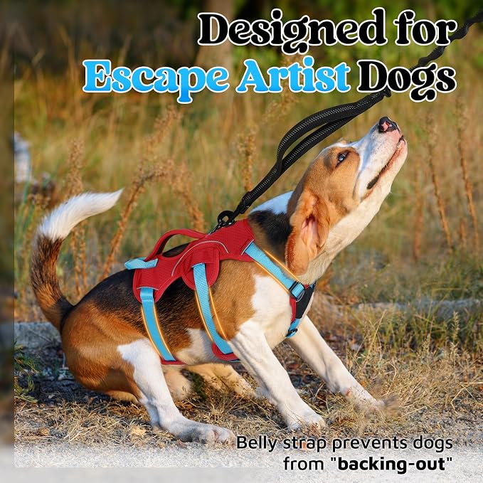 rabbitgoo Escape Proof Dog Harness for Small, No Pull with Lift Handle | No Escape, Full Soft Padded, Reflective Adjustable Vest, Leash Clip for Walking Hiking Training, Sky Blue & Red, Small