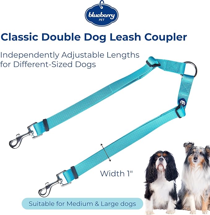 Blueberry Pet Essentials Durable Classic Double Dog Leash Coupler, Turquoise, Medium/Large, Dual Walking & Training Leashes for Two Dogs