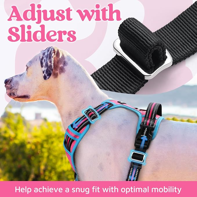rabbitgoo Dog Harness for Large, No Pull 3 Buckles Easy On & Off | Soft Padded, Walking with Control Handle, Adjustable and Reflective, Pink & Blue, X-Large