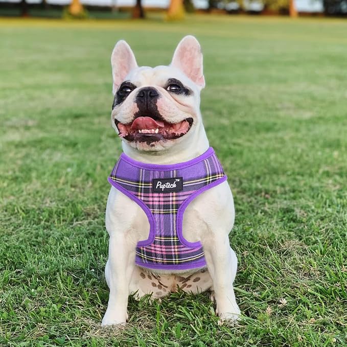 PUPTECK Soft Mesh Dog Harness and Leash Set Pet Puppy Cat Comfort Padded Vest No Pull Harnesses, Purple, M