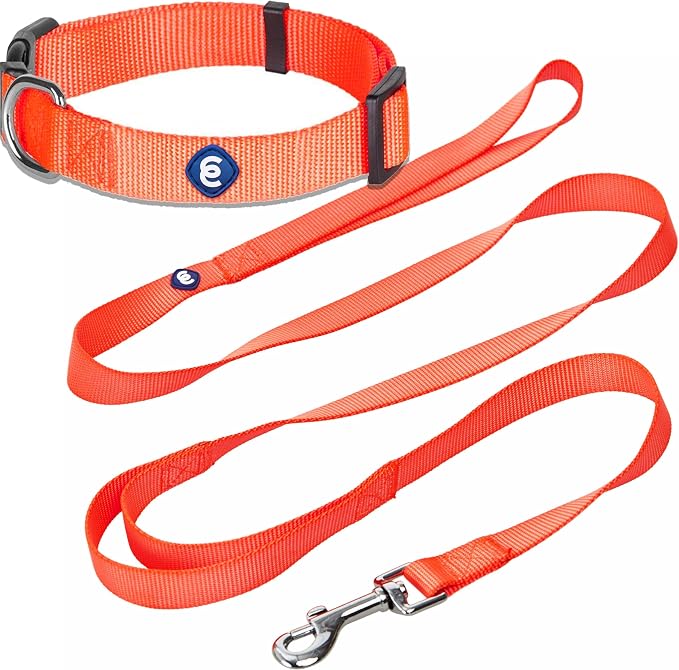 Blueberry Pet Essentials Matching Dog Collar and Double Handle Leash Set in Florence Orange, Adjustable Classic Solid Color Nylon Collar with 5 ft Leash for Medium Dogs