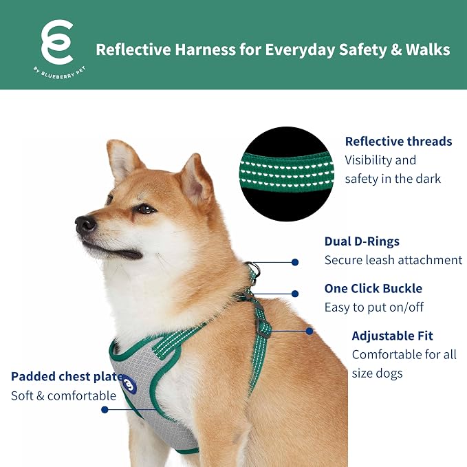 Blueberry Pet Essentials Back to Basics Reflective Dog Harness Vest, Dark Green, Large, Adjustable Harnesses for Dogs