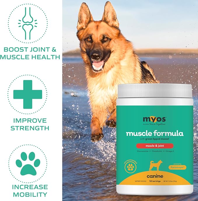 MYOS Muscle & Joint Dog Supplement - Hip & Joint Support Powder - 396g