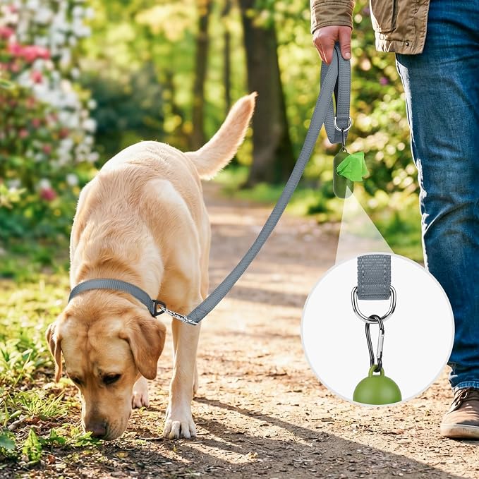Joytale Reflective Dog Leash for Medium & Large Dogs, 6 FT x 1", Gray | Heavy Duty Nylon Webbing, Padded Handle for Comfort, Visible at Night, for Walking & Training