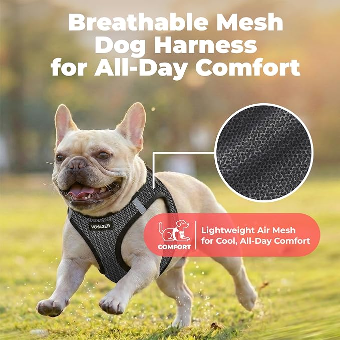 Voyager Step-in Air Dog Vest Harness - Gray 2-Tone, X-Large | 20.5 - 23" in Chest, Reflective Bands, All Weather Breathable Air Mesh, Cats Compatible, Lightweight, Fast Drying