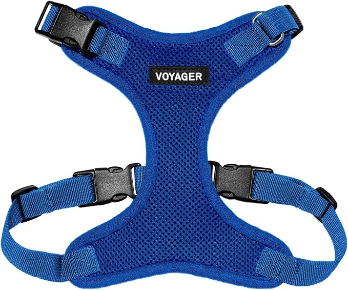 Voyager Step-in Lock Dog Harness - Royal Blue, Large | 20 - 25" in Chest, Adjustable, Breathable Air Mesh, Lightweight for Daily Walks, Strong Clips, Heavy Duty D-Ring