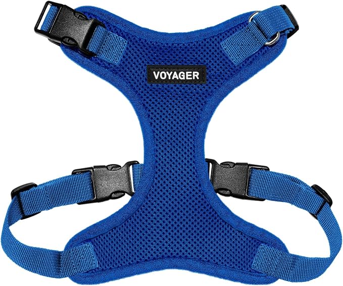 Voyager Step-in Lock Dog Harness - Royal Blue, Medium | 17 - 21" in Chest, Adjustable, Breathable Air Mesh, Lightweight for Daily Walks, Strong Clips, Heavy Duty D-Ring